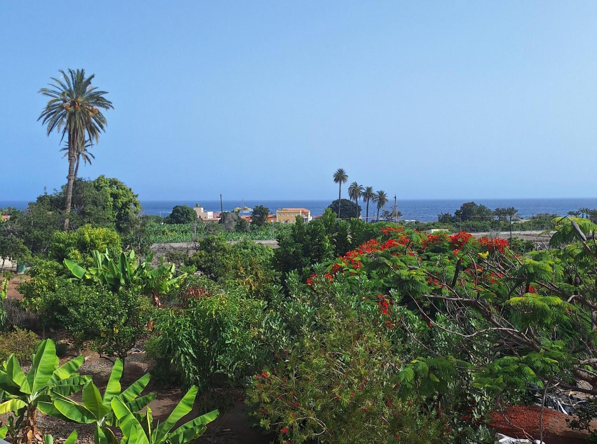 Apartamentos Bellavista Gomera Playa de Santiago  Dış mekan fotoğraf