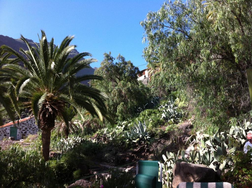 Apartamentos Bellavista Gomera Playa de Santiago  Dış mekan fotoğraf