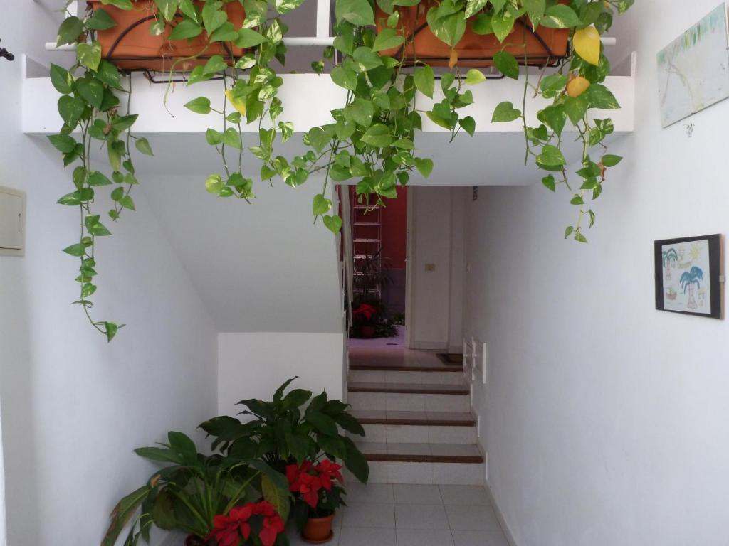 Apartamentos Bellavista Gomera Playa de Santiago  Dış mekan fotoğraf
